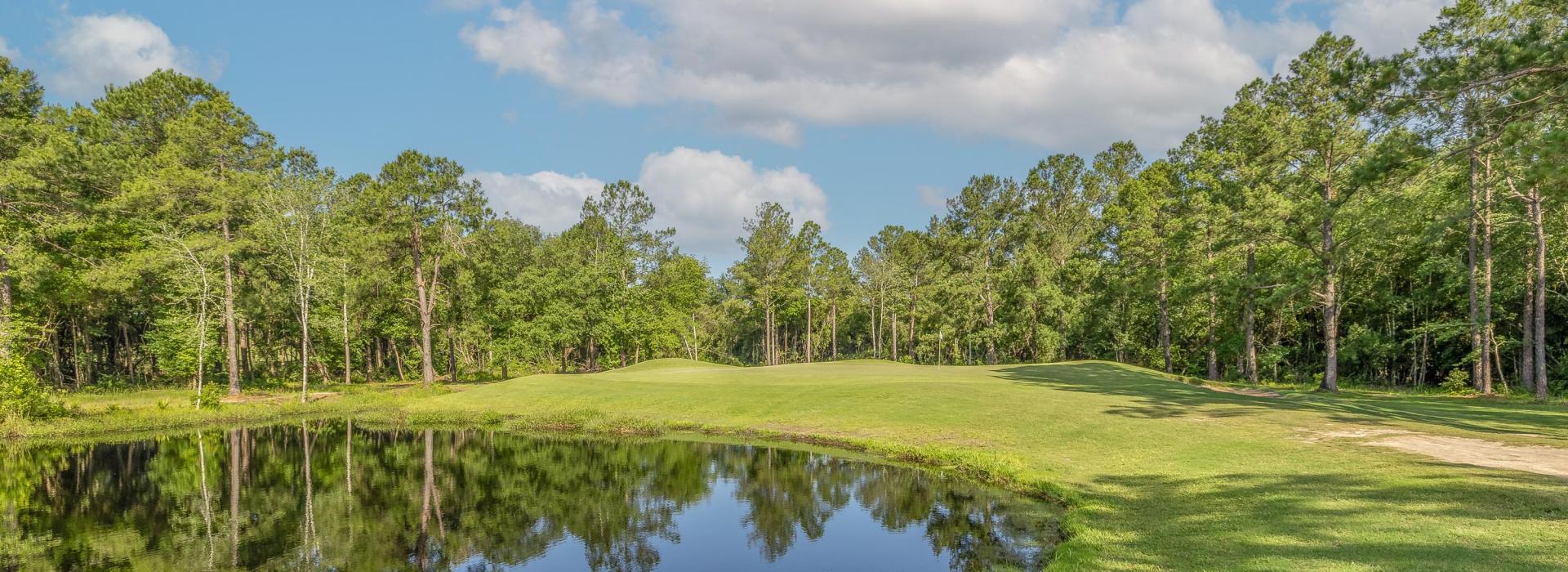 View of Golf course with trees and pond